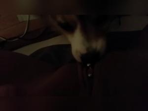 Discover the Pleasures of Bestiality with this Extreme Sex Video