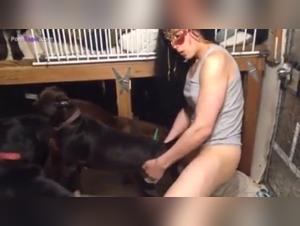 Exciting Pictures of Sex with a Dog
