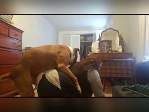 Experience the Thrill of Chubby Amateur and Her Canine Companion