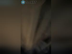 Soddisfazione bruta per il cane, limiti senza limiti