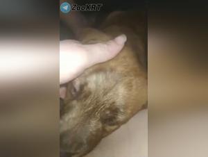 lèche fébrile :  s'abandonner aux instincts les plus profonds
