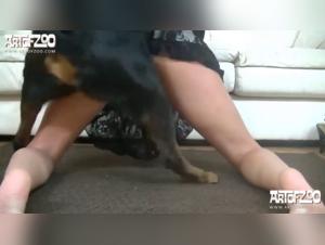 xxxanimal cupcake compilation