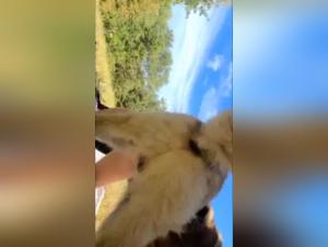 Sperimenta l'estremo: donne e cani nel cuore della dissolutezza