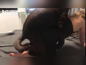 Hundedominanz: Sodomie und tierische Ausschweifungen ohne Grenzen