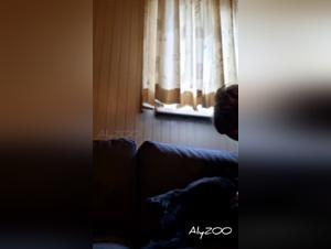 Canino e sottomissione sessuale