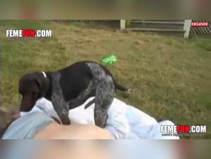 An Extreme Zoophile Experience