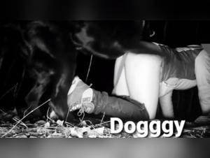 Extreme Bestiality Scene: Man and Dog