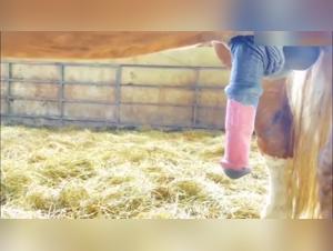 Experience Extreme Zoophilia with this Horse Penis Video