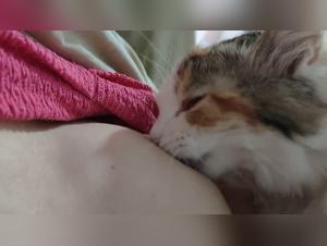 dark fantasies unveiled