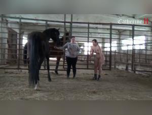 Zoophilia Video: A Forbidden Love Story