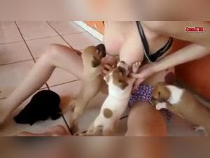 Zoophilia video with a dog and his mistress