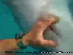 Parte prima: dominazione canina e gioie sensuali