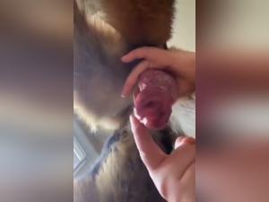 Canine fetishism, extreme pleasure, without restraint submission