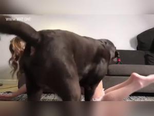 Extreme sex with an animal