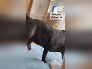 Impact on Society & Morality