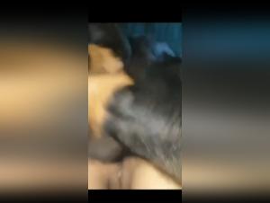 Découvrez le monde du sexe bestialité avec cette vidéo de femme brésilienne et Rotwiller