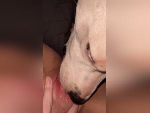 Taboo Explorations: Intimate Moments and Unbridled Intensity