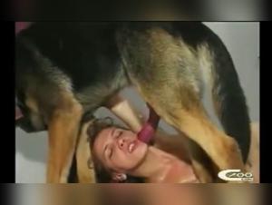 Sex with a dog: a forbidden love story