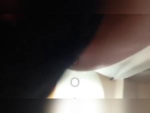 A Cat Screws with a Kitten, The Result is Amazing