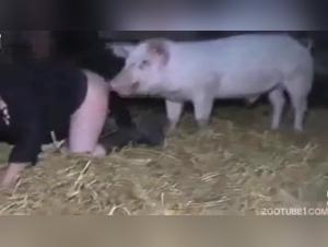 Extreme zoophilia video