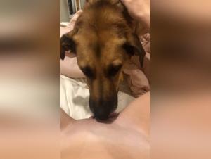 Watch this Young Woman in a Bestiality Sex Experience