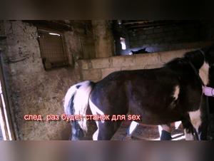 Bestiality Sex Video: An Extreme Experience