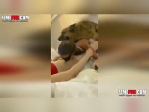 Une Expérience Extrême de Zoophilie