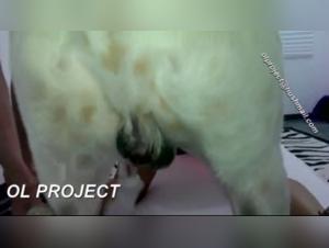 Foraggiamento e sborrata: anale hardcore con animali