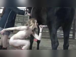 Nadya's Encounter with the Horse: A Passionate Experience