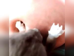 Dog Sex Video: An Intense and Unique Relationship