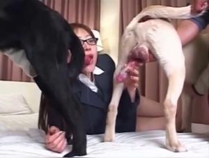 Bestiality sex video with dog