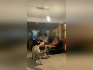 Extreme Bestiality Video - Girl fucking with a Dog