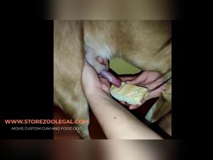 Muvisex: Exclusive Zoo Content Leaks