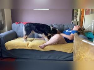 Extreme dog sex video