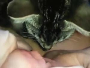 Sex Scene with Cat - Extreme Bestiality
