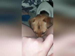 Woman and Dog - An Exciting Experience