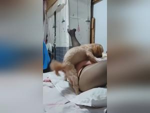 stepping beyond boundaries