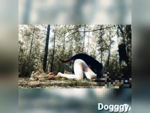 Watch this Extreme Dog Sex Video