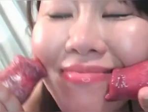 Bestiality sex: a female and two male canines