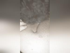 Denise Frazier: A Leading Figure in ArtofZootography