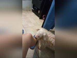 Watch this Woman and Her Dog in an Intense Dog Sex Scene