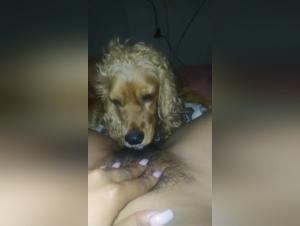 Extreme sex video with a Latina and her dog
