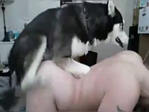 Hard and extreme sex moments