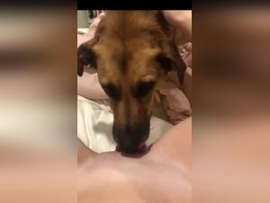 Bestiality sex video: discover the world of zoophilia