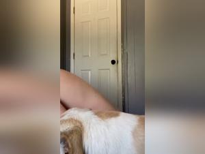 Vixen, Strayx: L'arte della zoophilia