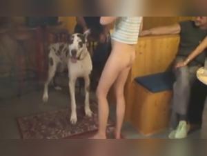 Sex with Dogs Videos: Discover the Forbidden
