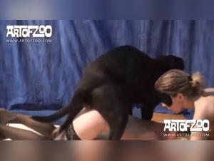 Into Feline Hell: Two Putas and their Canine Obsession