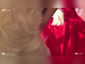 Extreme Bestiality Video with Layla and Her Dog