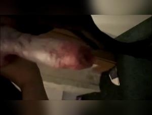 Dog sex video and cumshots