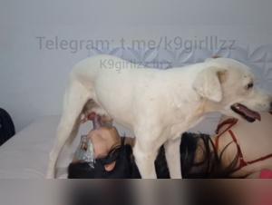 The images of dog fucking will make you dream